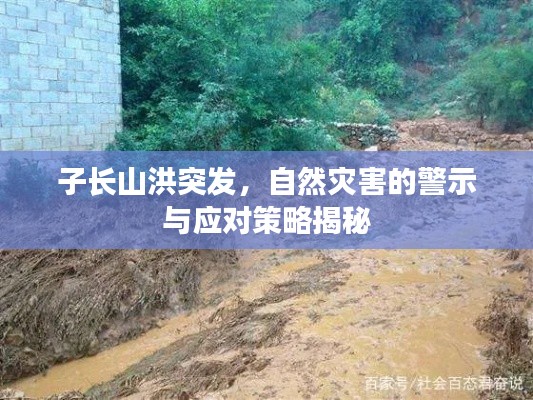 子长山洪突发,自然灾害的警示与应对策略揭秘