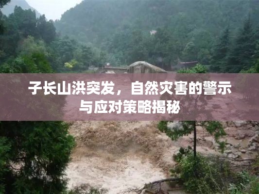 子长山洪突发,自然灾害的警示与应对策略揭秘