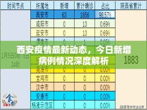 西安疫情最新动态,今日新增病例情况深度解析