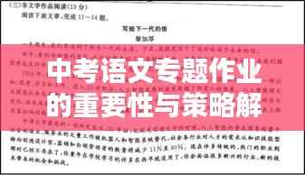 中考语文专题作业的重要性与策略解析