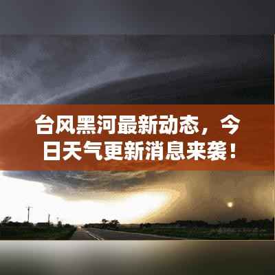 台风黑河最新动态,今日天气更新消息来袭!