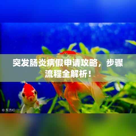 突发肠炎病假申请攻略，步骤流程全解析！