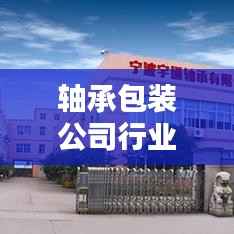 轴承包装公司行业排名及影响力解析