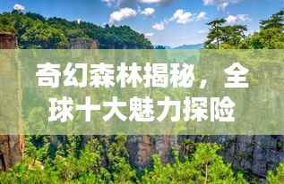 奇幻森林揭秘,全球十大魅力探险胜地盘点!