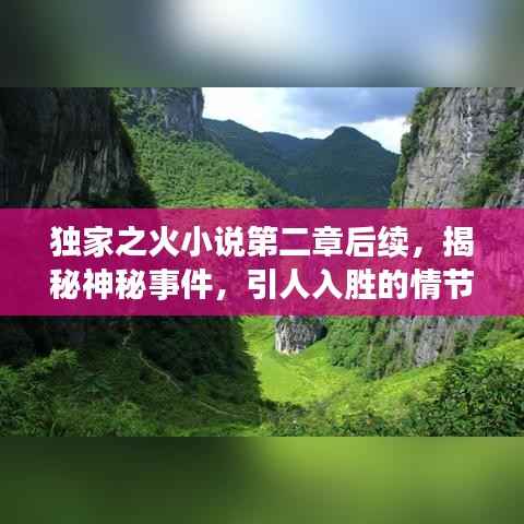 独家之火小说第二章后续，揭秘神秘事件，引人入胜的情节展开