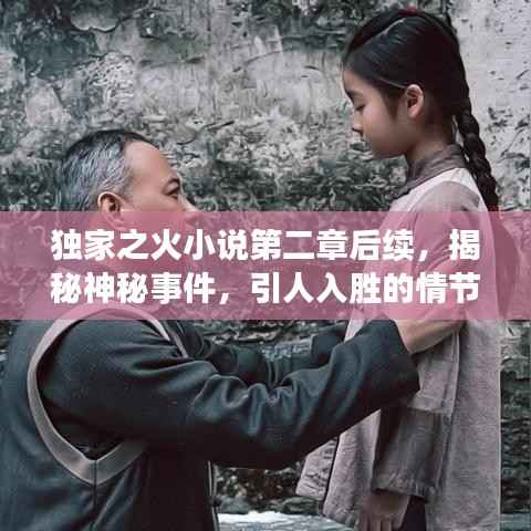 独家之火小说第二章后续,揭秘神秘事件,引人入胜的情节展开
