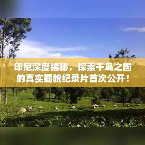 印尼深度揭秘，探索千岛之国的真实面貌纪录片首次公开！