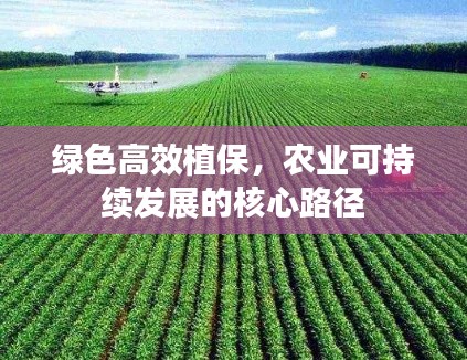 绿色高效植保,农业可持续发展的核心路径