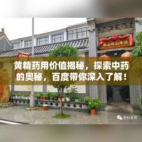 黄精药用价值揭秘，探索中药的奥秘，百度带你深入了解！