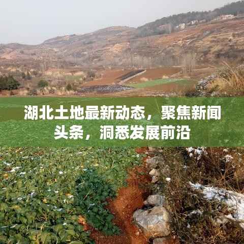 湖北土地最新动态,聚焦新闻头条,洞悉发展前沿