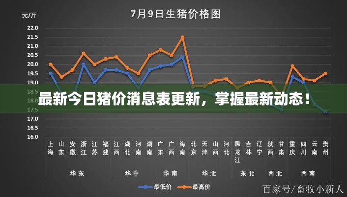 最新今日猪价消息表更新,掌握最新动态!