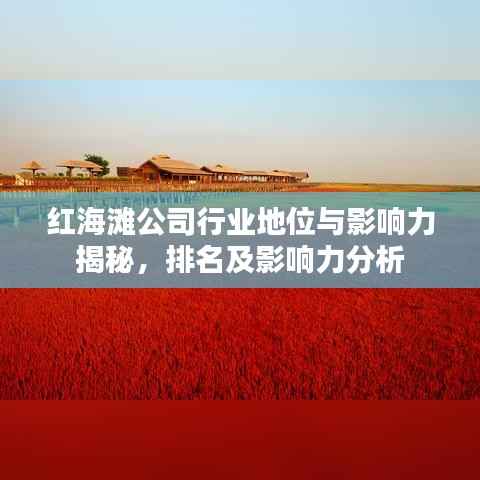 红海滩公司行业地位与影响力揭秘,排名及影响力分析