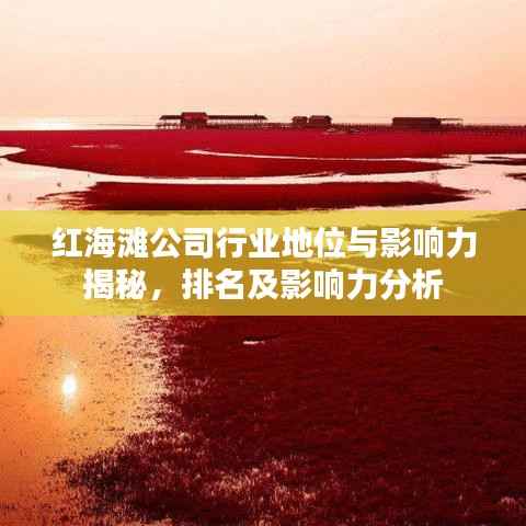 红海滩公司行业地位与影响力揭秘,排名及影响力分析