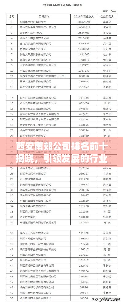 西安南郊公司排名前十揭晓,引领发展的行业巨头榜单揭秘!