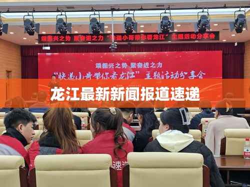 龙江最新新闻报道速递