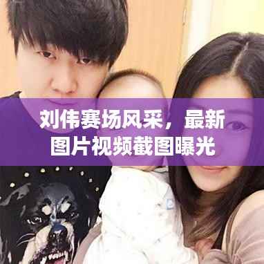 刘伟赛场风采,最新图片视频截图曝光