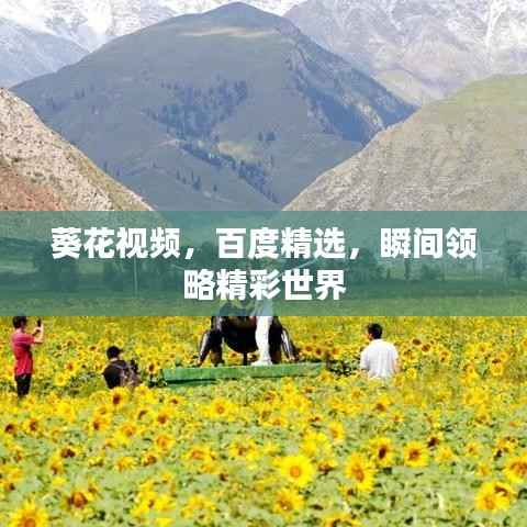 葵花视频，百度精选，瞬间领略精彩世界