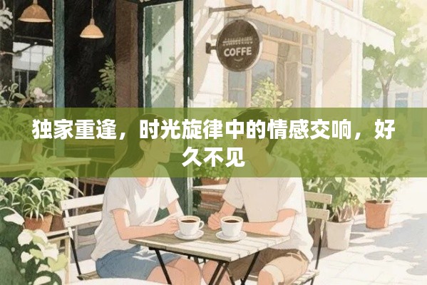 独家重逢,时光旋律中的情感交响,好久不见