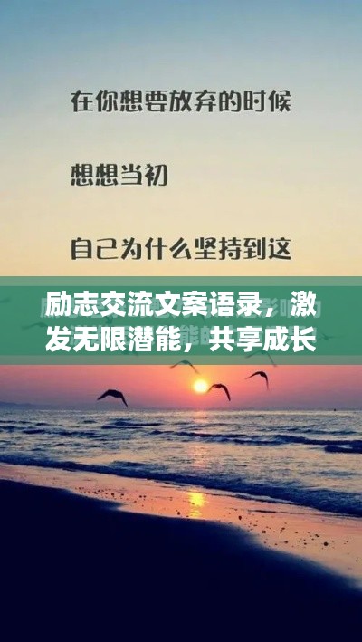 励志交流文案语录，激发无限潜能，共享成长力量