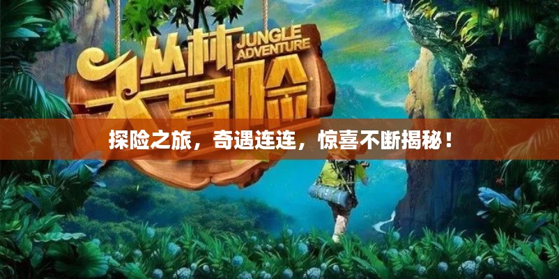 探险之旅，奇遇连连，惊喜不断揭秘！