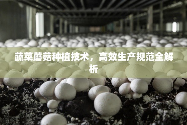 乌鸟私情 第3页