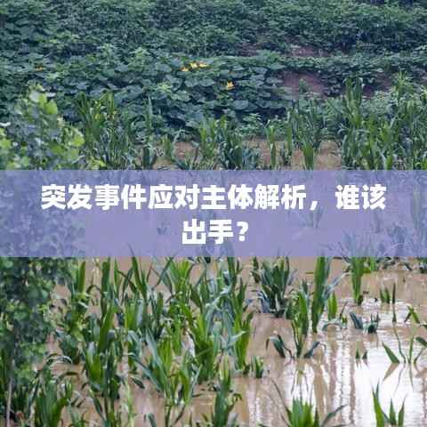 突发事件应对主体解析,谁该出手?