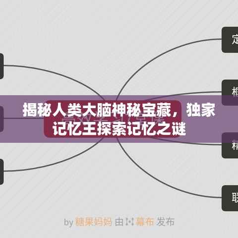 铺张浪费 第4页