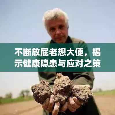 不断放屁老想大便，揭示健康隐患与应对之策