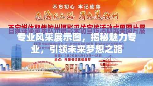 专业风采展示图,揭秘魅力专业,引领未来梦想之路