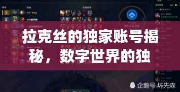 拉克丝的独家账号揭秘，数字世界的独特视角探索