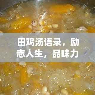 田鸡汤语录,励志人生,品味力量与希望的话语