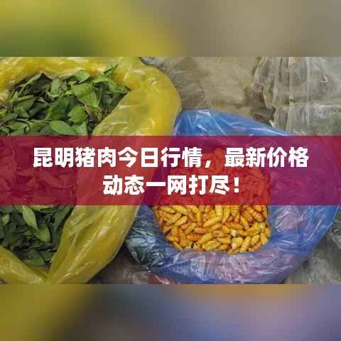 昆明猪肉今日行情,最新价格动态一网打尽!