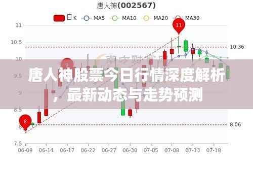 唐人神股票今日行情深度解析，最新动态与走势预测