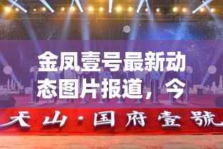 金凤壹号最新动态图片报道，今日消息一网打尽！