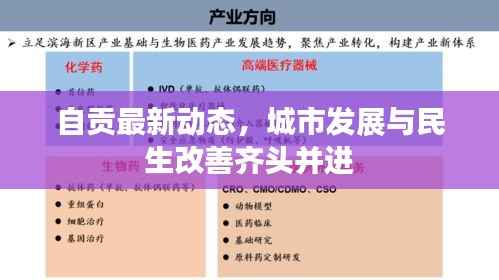 自贡最新动态，城市发展与民生改善齐头并进