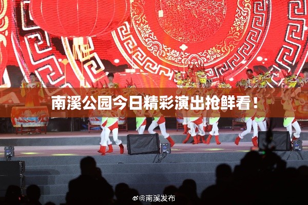 南溪公园今日精彩演出抢鲜看！