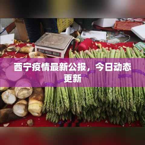 西宁疫情最新公报，今日动态更新