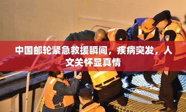 飞箭如蝗 第3页