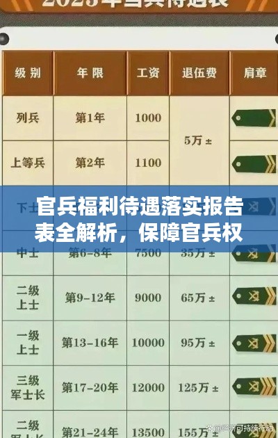 官兵福利待遇落实报告表全解析，保障官兵权益，提升部队凝聚力