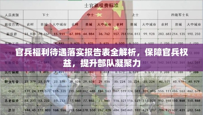 官兵福利待遇落实报告表全解析,保障官兵权益,提升部队凝聚力