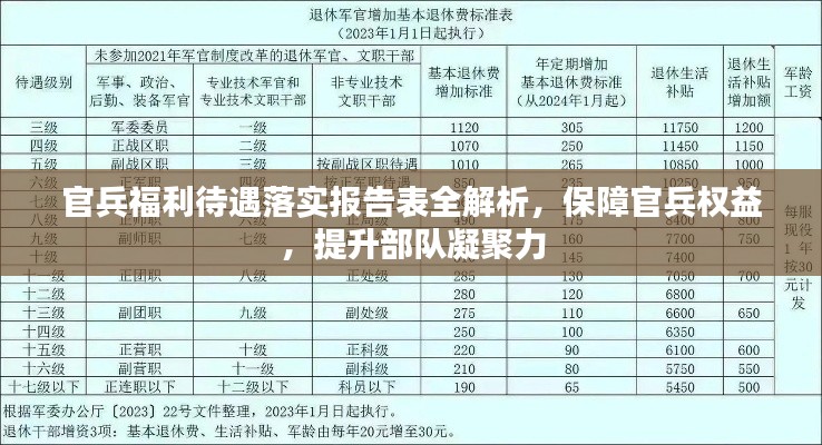 官兵福利待遇落实报告表全解析,保障官兵权益,提升部队凝聚力