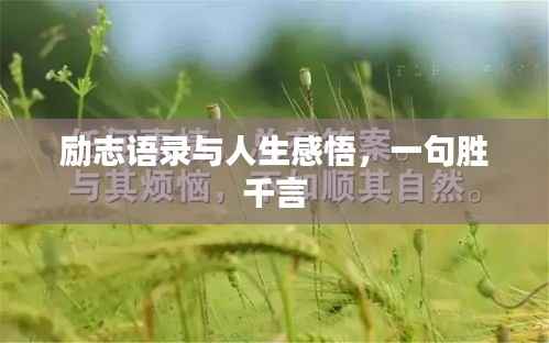 励志语录与人生感悟，一句胜千言