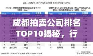 成都拍卖公司排名TOP10揭秘，行业巨头深度剖析