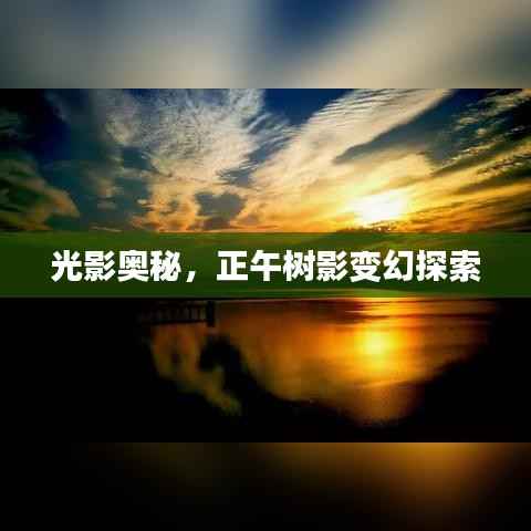光影奥秘，正午树影变幻探索