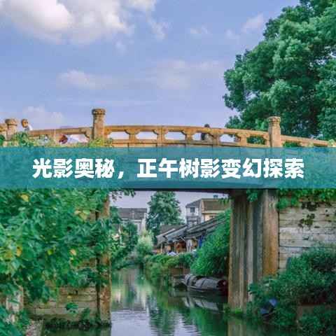 光影奥秘,正午树影变幻探索