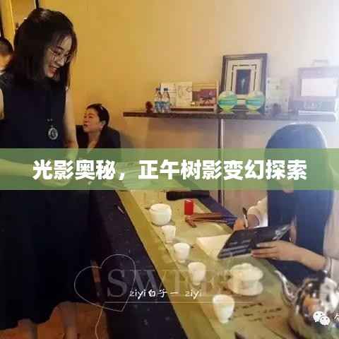 光影奥秘,正午树影变幻探索