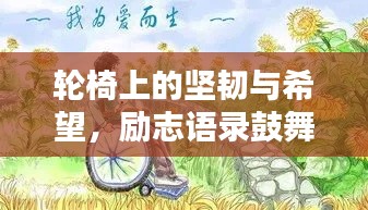 轮椅上的坚韧与希望,励志语录鼓舞人心!