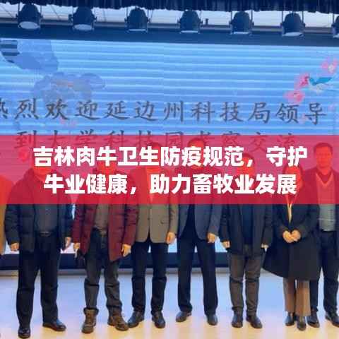 吉林肉牛卫生防疫规范，守护牛业健康，助力畜牧业发展