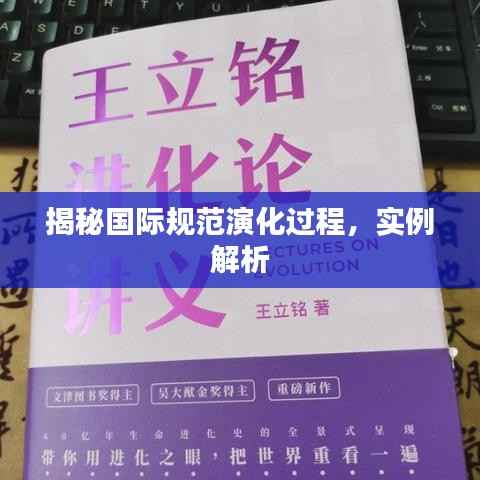 揭秘国际规范演化过程,实例解析