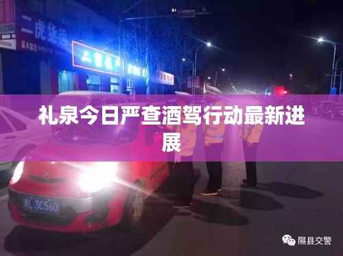 礼泉今日严查酒驾行动最新进展